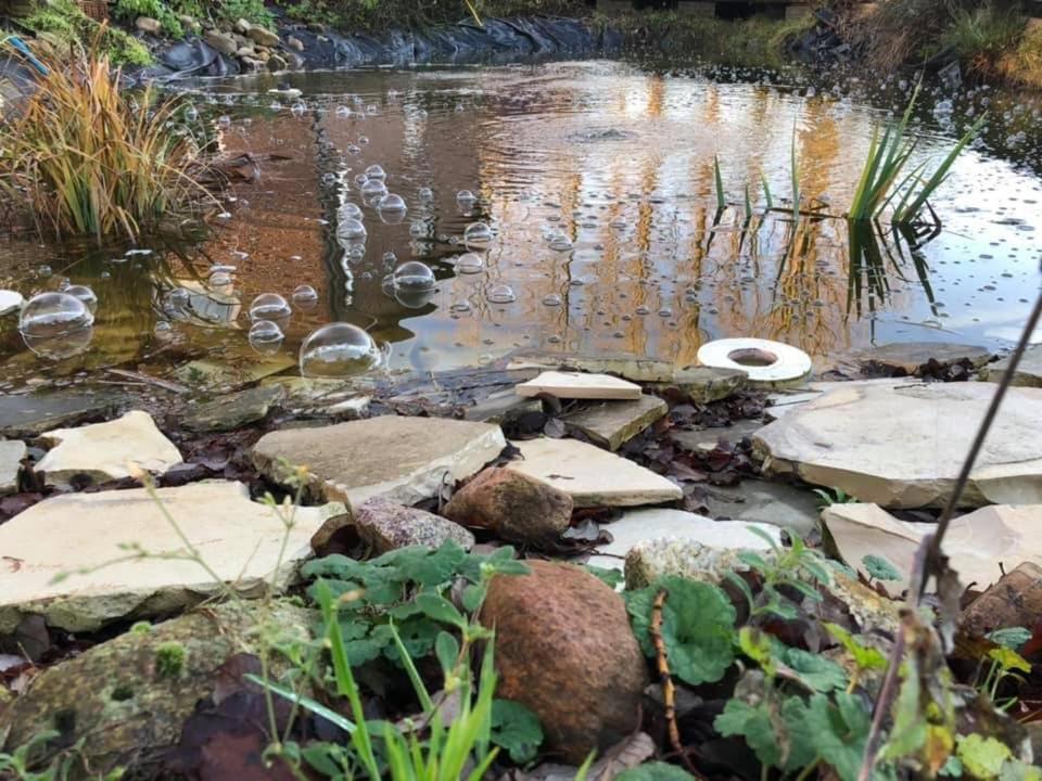 Bequemschlafen Villa Heidenau  Bagian luar foto
