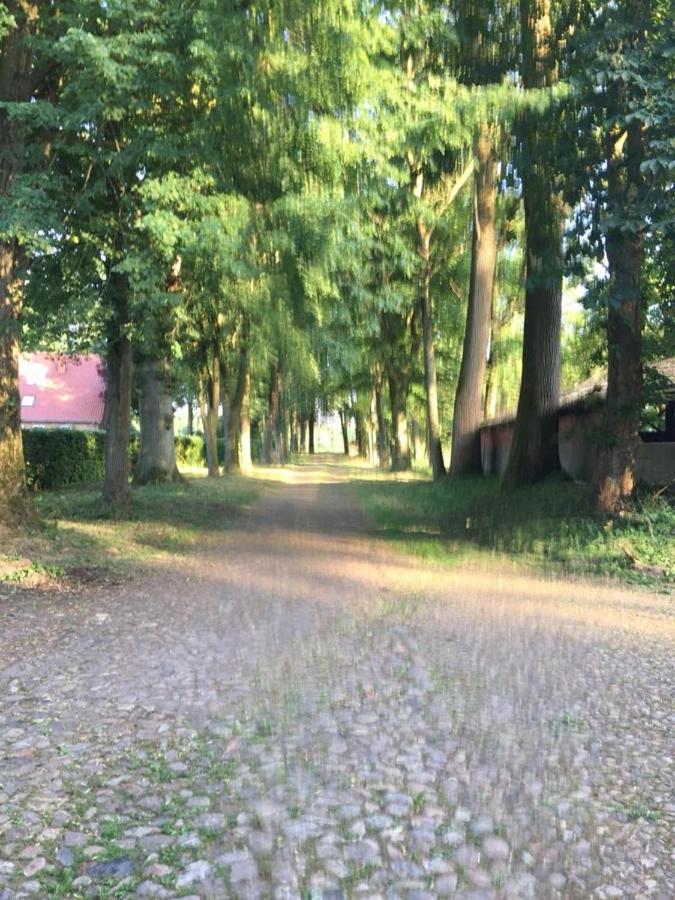 Bequemschlafen Villa Heidenau  Bagian luar foto